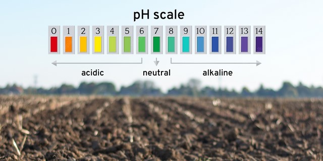 pH خاک