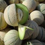 طالبی
