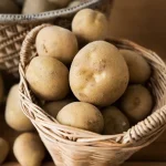سیب‌زمینی